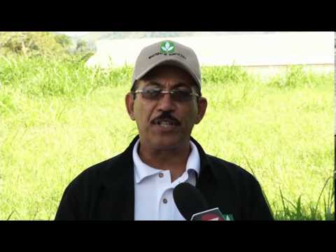 San José de Ocoa: la provincia de la producción vegetales en base a invernaderos