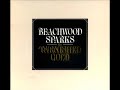 01 • Beachwood Sparks - The Orange Grass Special  (Demo Length Version)