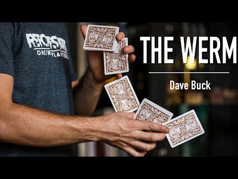 THE WERM - Beginner Tutorial by Dave Buck