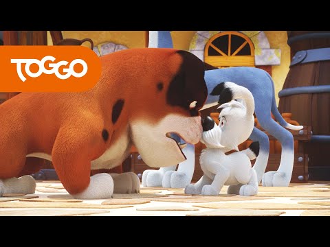 Idefix und die Unbeugsamen | Zoff auf dem Forum | Ganze Folge | TOGGO Serien