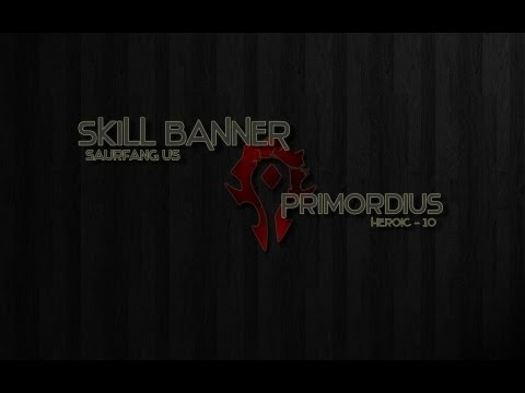 Skill Banner vs Heroic Primordius 10 Man - Warlock PoV