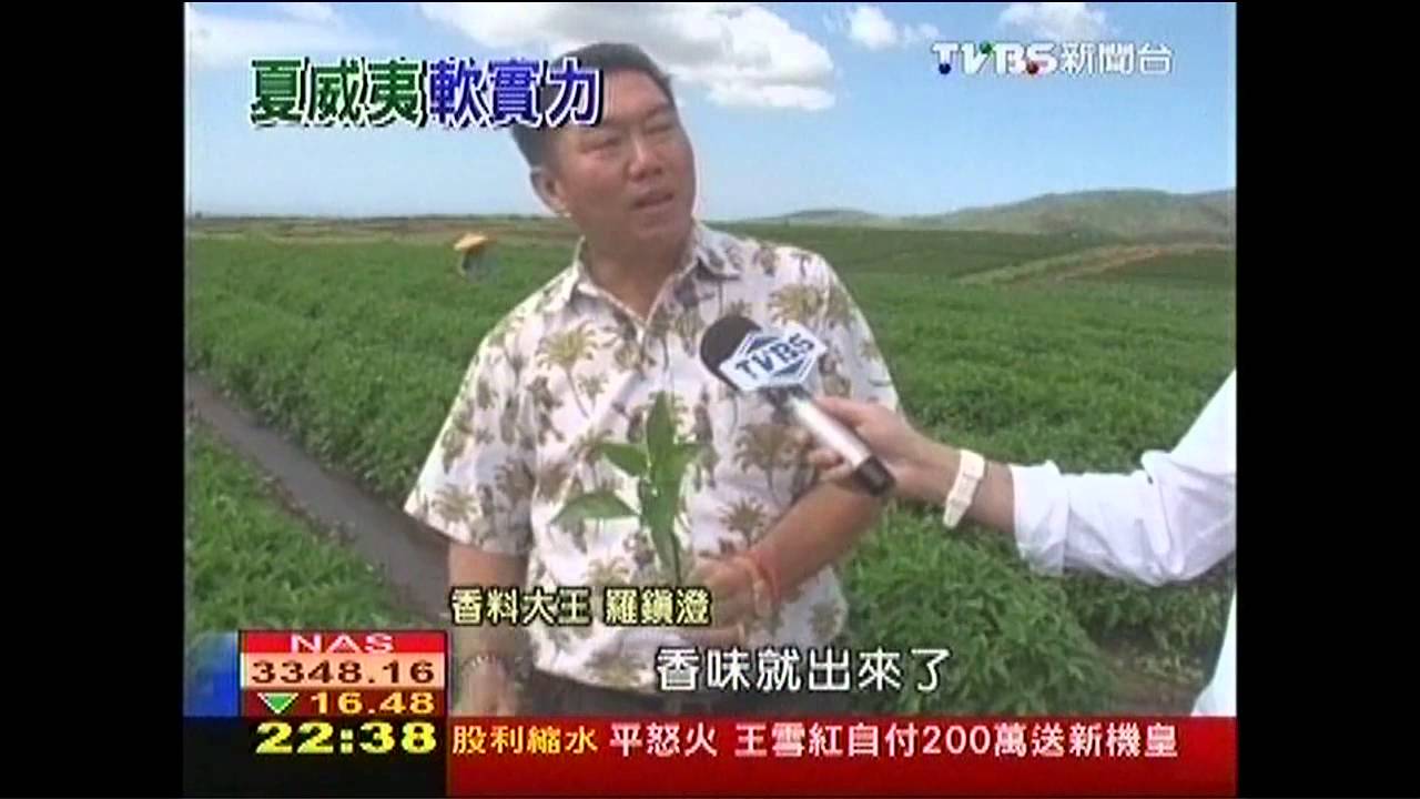 【幸福夏威夷】全球最大鮑魚養殖 新鮮活送美國、亞洲