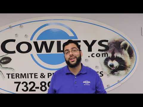 Tips to Keep Bed Bugs Out of Your Home