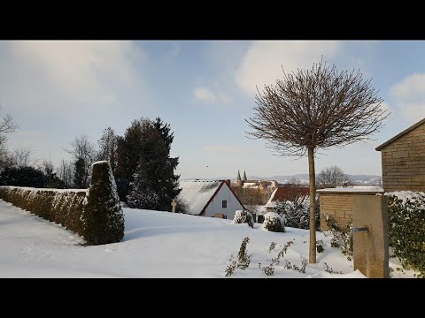 Gedanken zur Tageslosung am  17. Februar 2021. Psalm 65,6