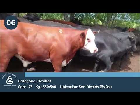 Lote NV UE HILTON - San Nicolas Bs As