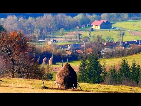 Trains echoing through the Crisul Repede's Canyon near Piatra Craiului station (25 - 27 10 2013)