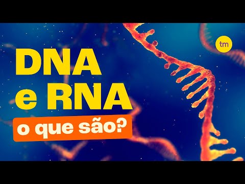 DNA e RNA | Quais são as DIFERENÇAS?