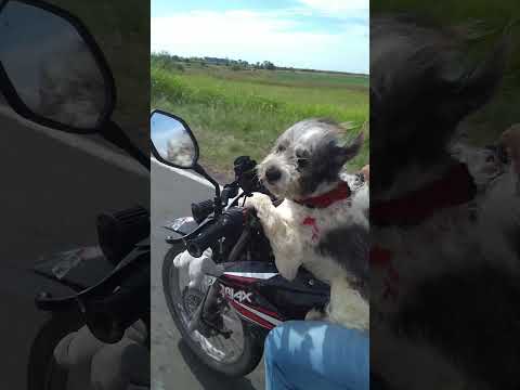 rumbo para Alcaraz entre rios