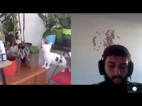 Hipnoza ezoterica276,Andra inima sangeranda si alegerea A si C Moraru