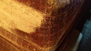 Baking soda, Does not get rid of bed bugs !