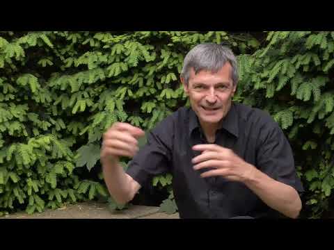 Oper Fiorina | La Fanciulla di Glaris