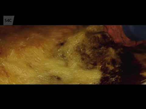 Chwedloni: Mirain Alaw Jones #RWC2019