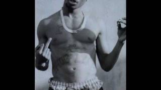 2pac - Untouchable [Swizz Beat Remix]