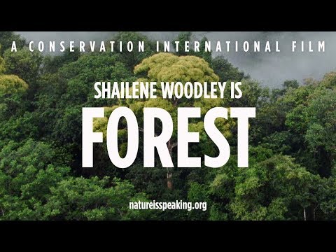Nature Is Speaking: Shailene Woodley is Forest