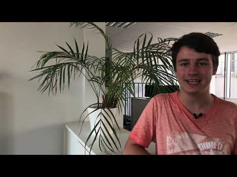 Die besten Flachwitze aus der Redaktion