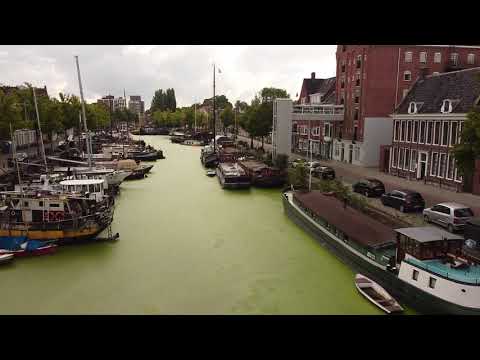 Noorderhaven Groningen in het groen