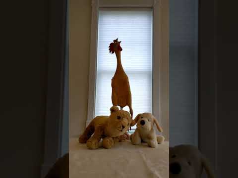 Scuba Chicken & Tha PHD Boyz - Leftovers (2006) Music Video