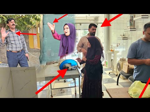 Viaje de rescate: acompañar a Maryam con un cachorro enfermo al médico y esperar su recuperación.