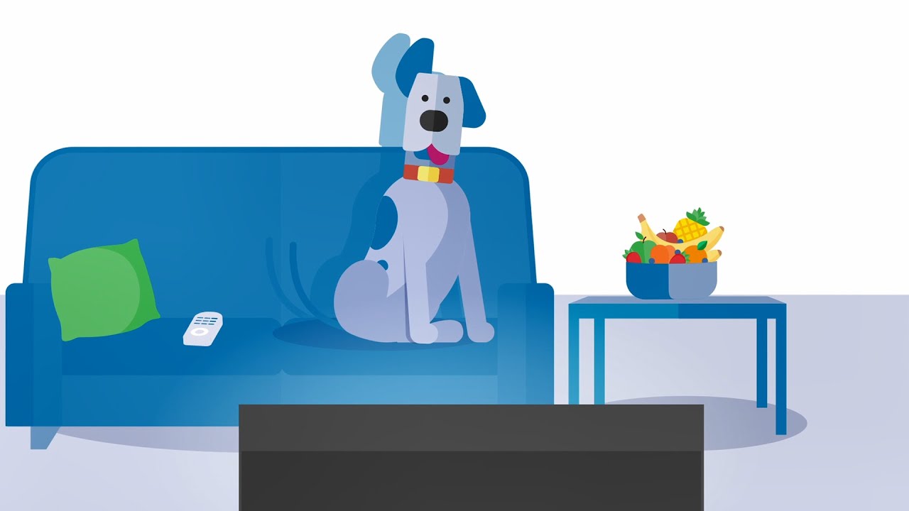 Petsure For A Life Of Pets