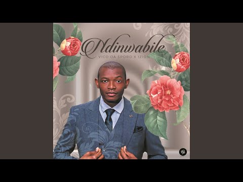 Ndonwabile (feat. iZion)