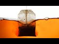 Plastics In Your Tea