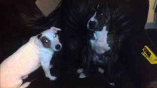 devlin ft diane birch rewind