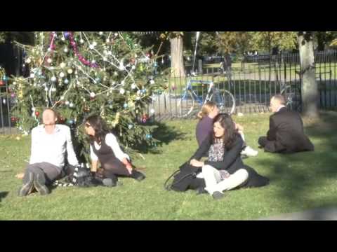 Hans-Peter Feldmann - Christmas Tree