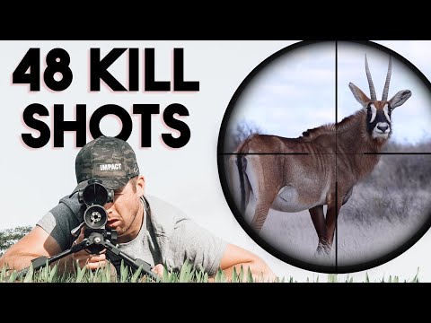 IMPACT SHOOTING
