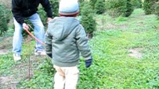 Christmas Tree Hunting 2007