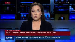 11.11.2019 21:00 Главные новости