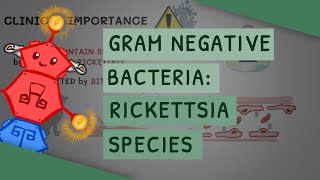 Gram Negative Bacteria: Rickettsia species