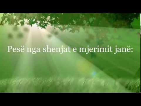 Pesë shenjat e mjerimit