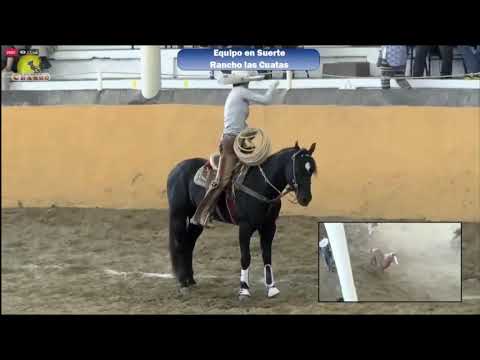 #BoletinCharroTv El Chiringas aporto 132 pts con 2 piales 3 manganas y pial de ruedo