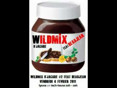 WildMix O'Jacaré #2 feat Beaujean