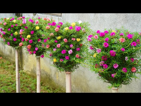 How To Make A Great Vertical Garden For A Small Garden With Plastic Bottles