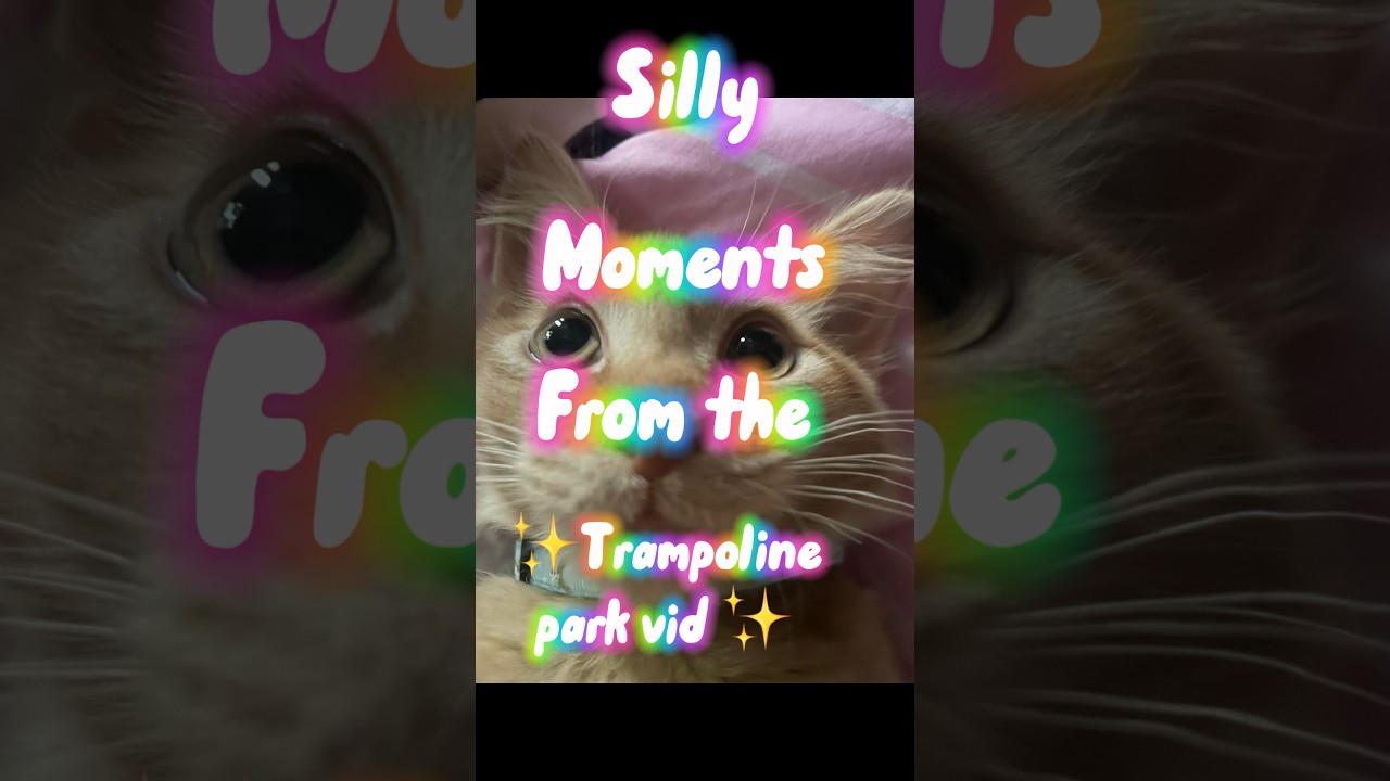 ✨Silly✨#therian#antizoo#funny#therianthropy#trampolinepark#trampoline#otherkin#quadrobics#fyp#silly