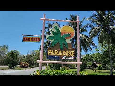 Mr Sanchos vs  Paradise Beach | Mr Sanchos Cozumel | Paradise Beach Cozumel