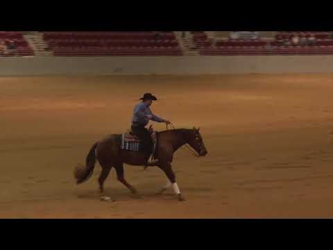 190221 Rookie Vernon Dryden on Premier Magnum