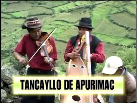 RAUL ESPINOZA (TANKAYLLO DE APURIMAC) Orcconapi vicuñita