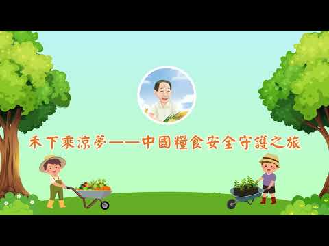 video-image