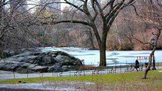 Susan Tedeschi - Wrapped in the Arms of Another