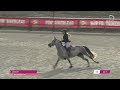 Merrie Franse rijpony PFS Te koop 2019 Donker bruin / bai ,  Carlson