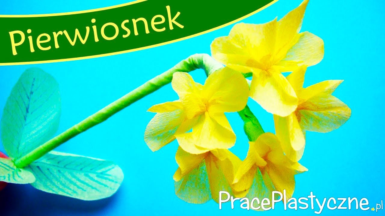 Jak zrobić pierwiosnka?