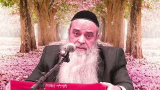 הרב רפאל זר | איפה הכרת הטוב שלך לאשתך? חובה צפייה! (הרב רפאל זר) - התמונה מוצגת ישירות מתוך אתר האינטרנט יוטיוב. זכויות היוצרים בתמונה שייכות ליוצרה. קישור קרדיט למקור התוכן נמצא בתוך דף הסרטון