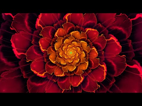 Chakra Meditation Music : Root Chakra Balancing & Healing Meditation Music