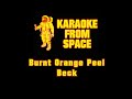Beck • Burnt Orange Peel | Karaoke • Instrumental • Lyrics
