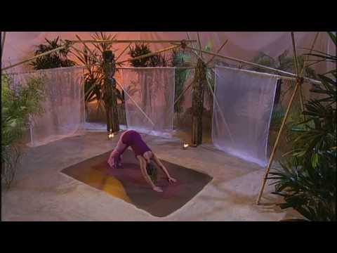 DVD "Yogaflow" - Der Hund – Adho – Mukha – Svanasana mit Inga Stendel