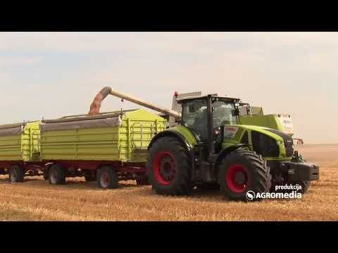 Kako izgleda žetva pšenice “Claas” mehanizacijom