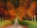come on wander with me - emilie satt 