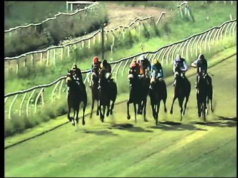 Galoppo 18/07/2015 - 3° corsa